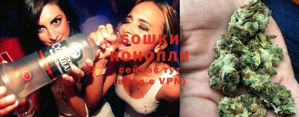 spice Алексин